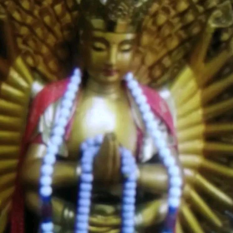 弟子求忏悔