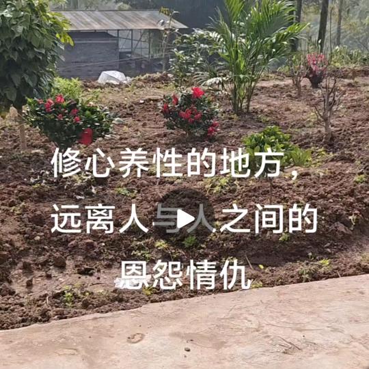 别看莫合，多少整点