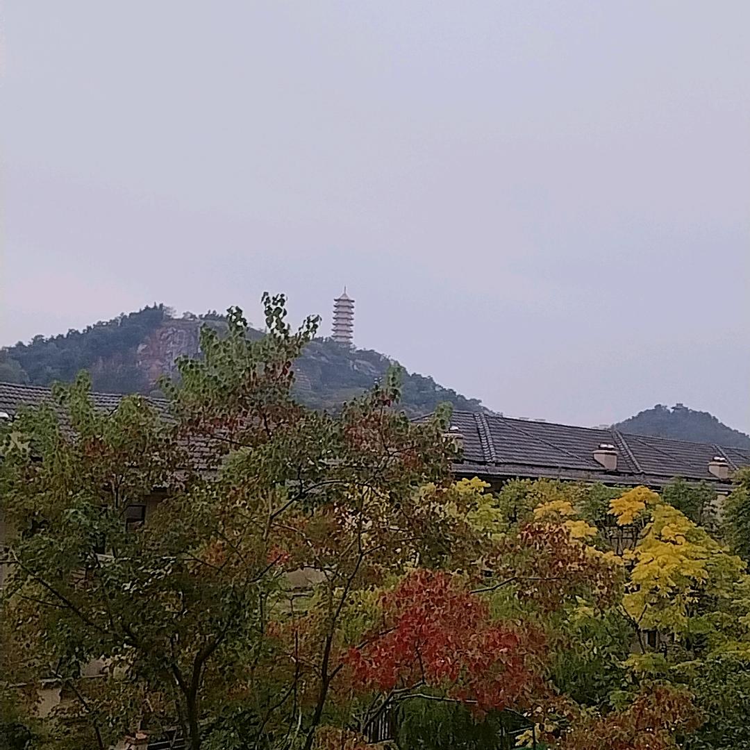 好棒
