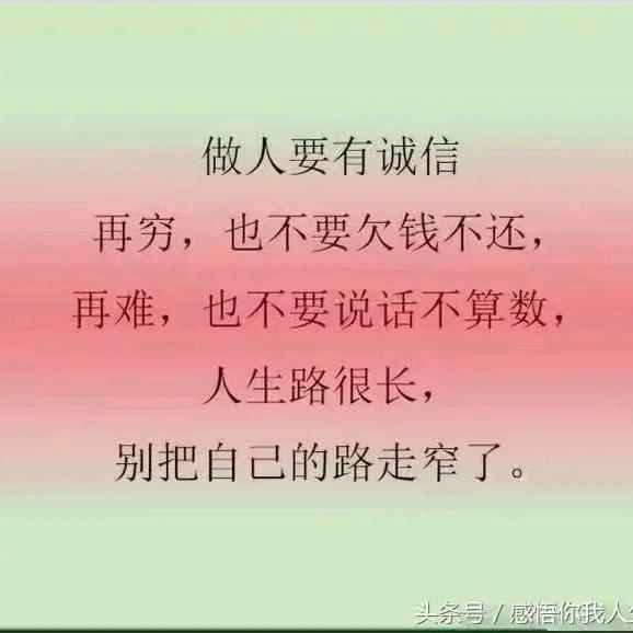葛根种植  机械化服务