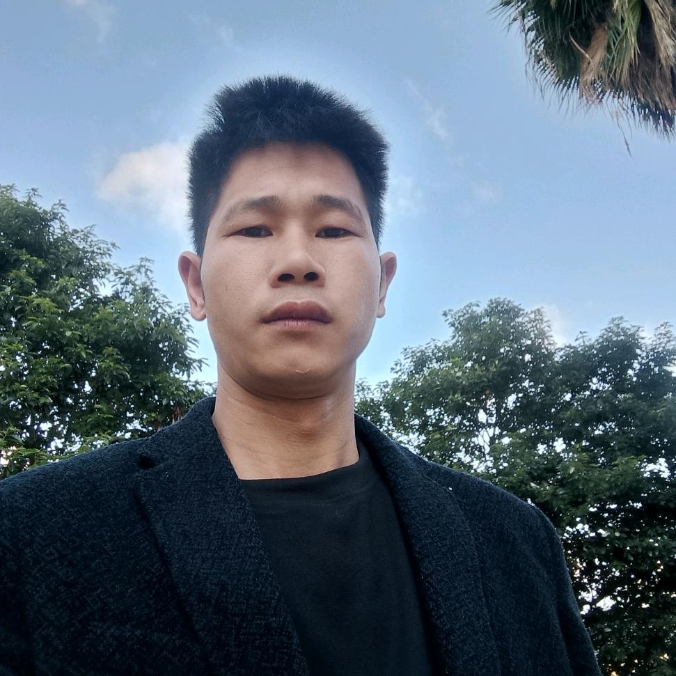 顶胜全屋定制向三