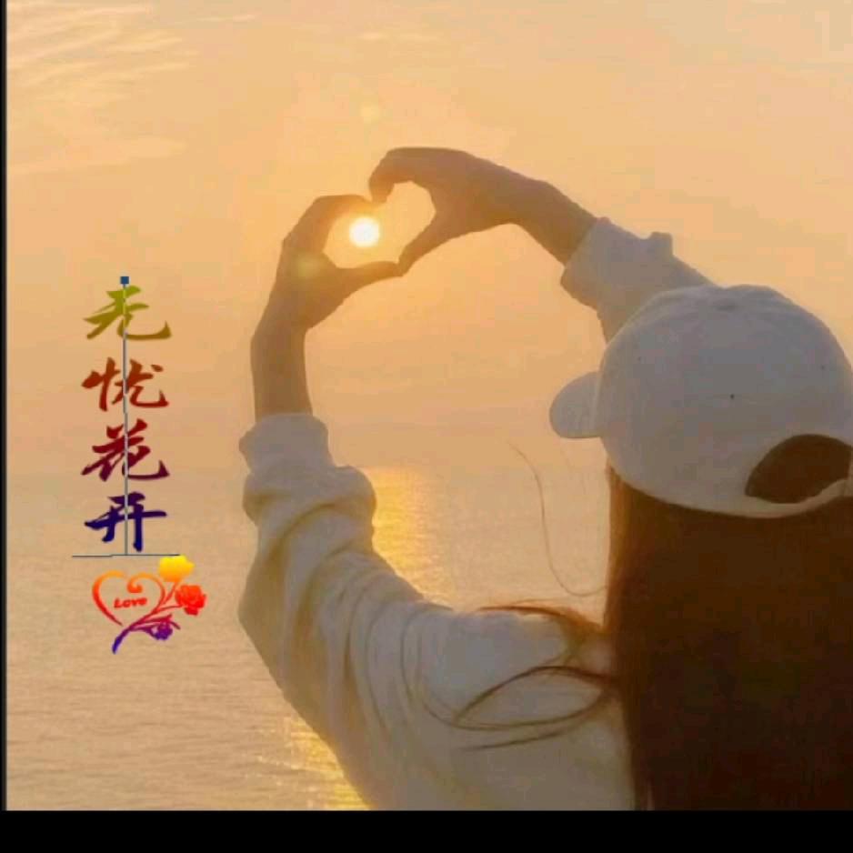 无忧花开(1066)