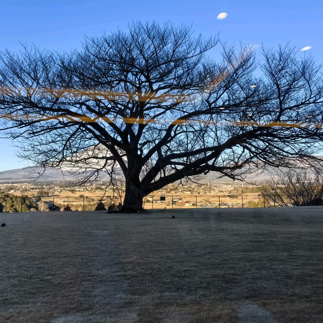 杭州乐尧话费充值专营店小额话费厅
