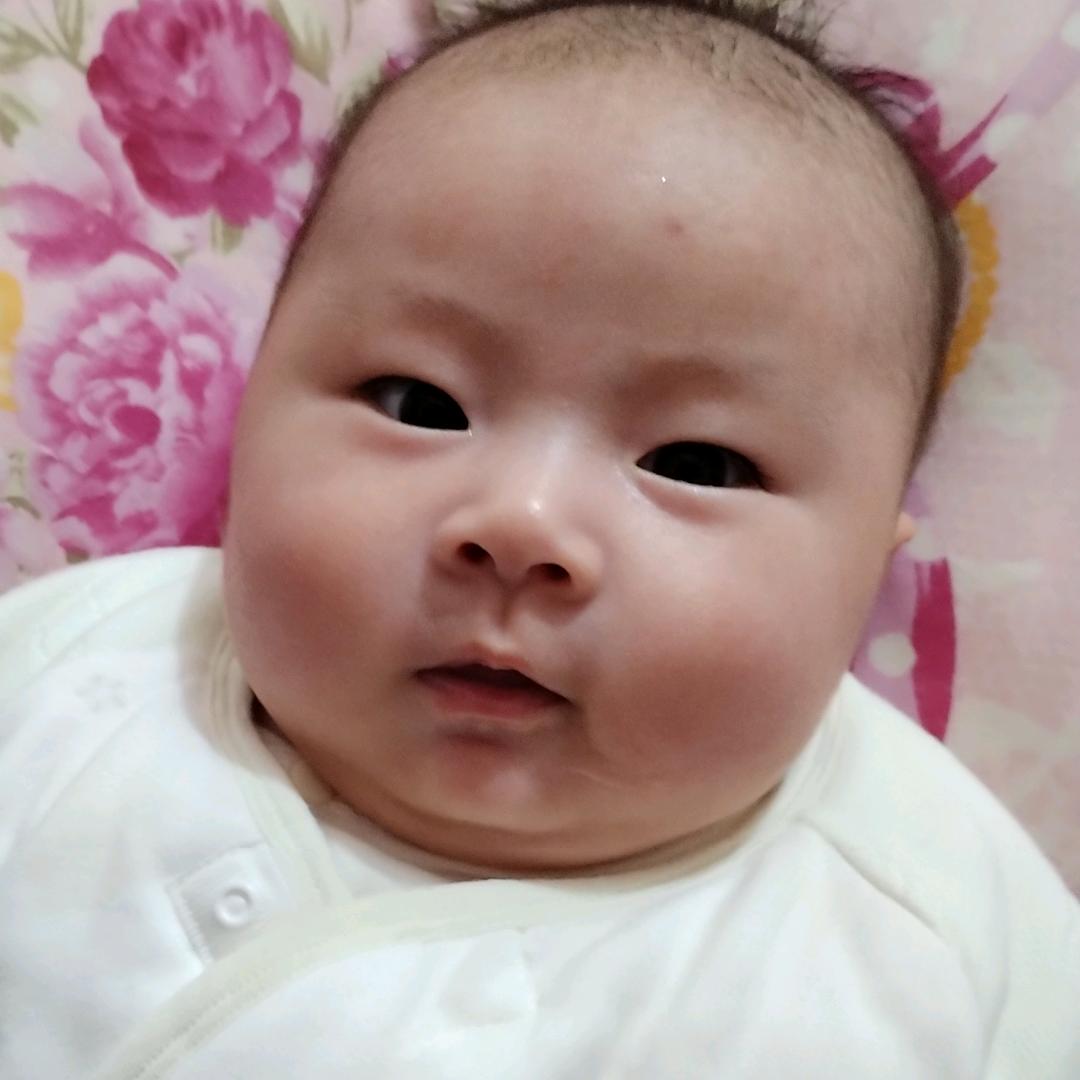 小宝宝