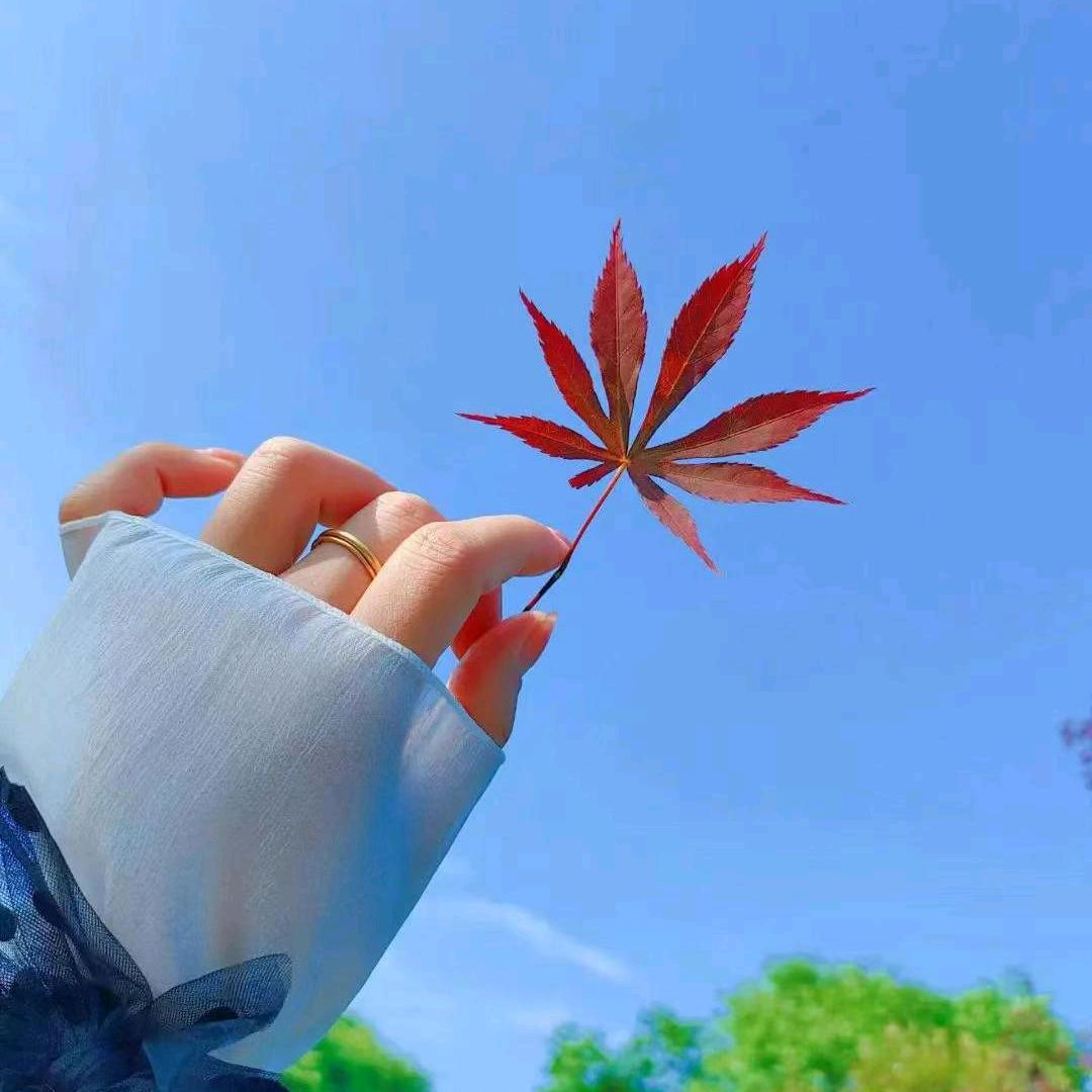 ᭄ོ㞮孞এ᭄ོ
