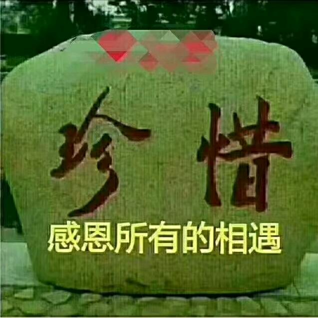 风雨人生