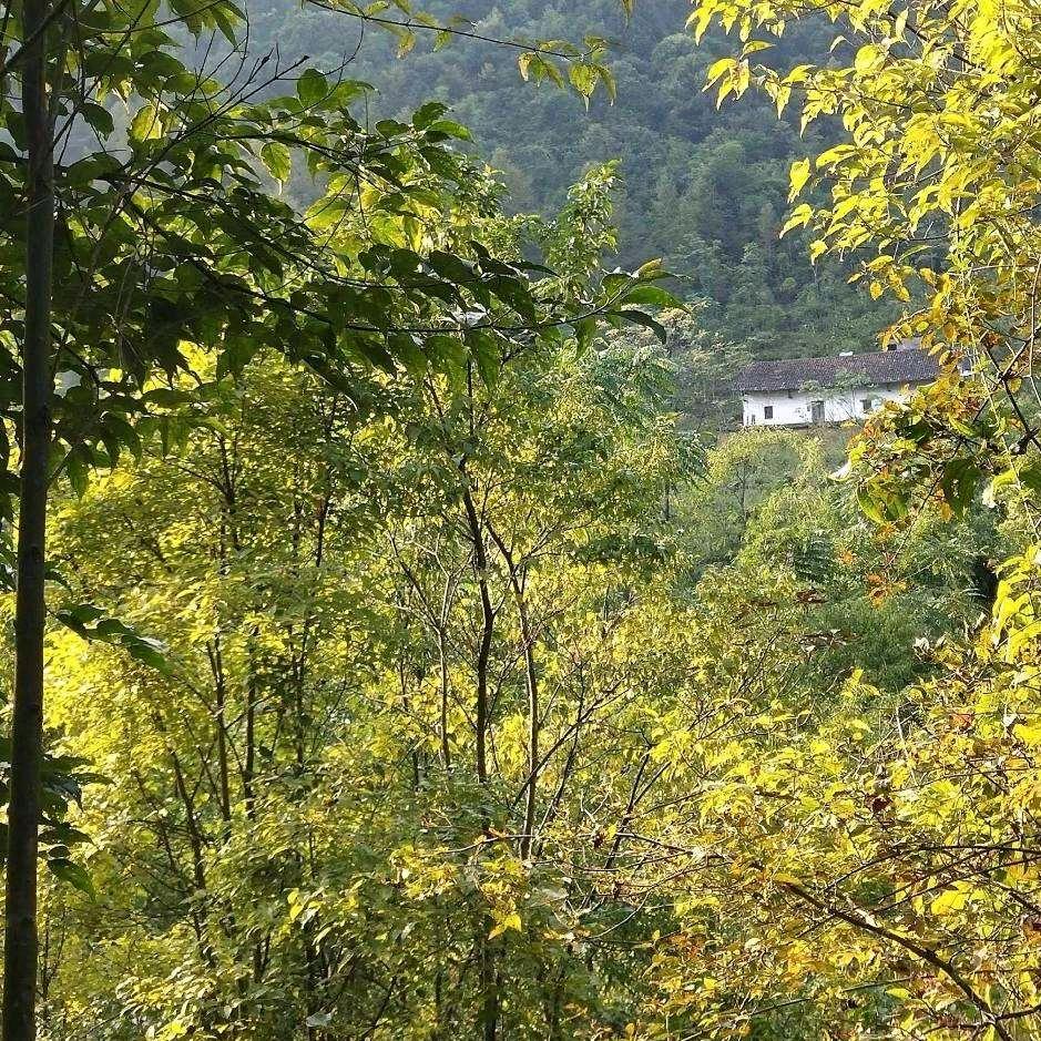 山佬民