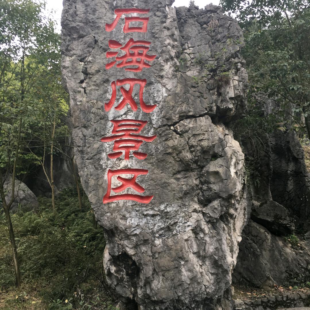 专业农村九大碗