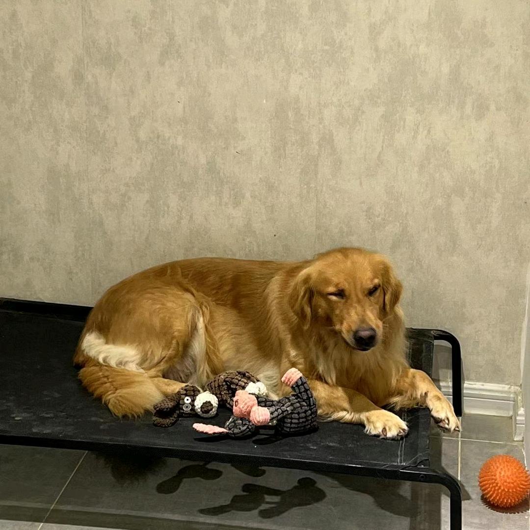 茉小莉❤可小乐