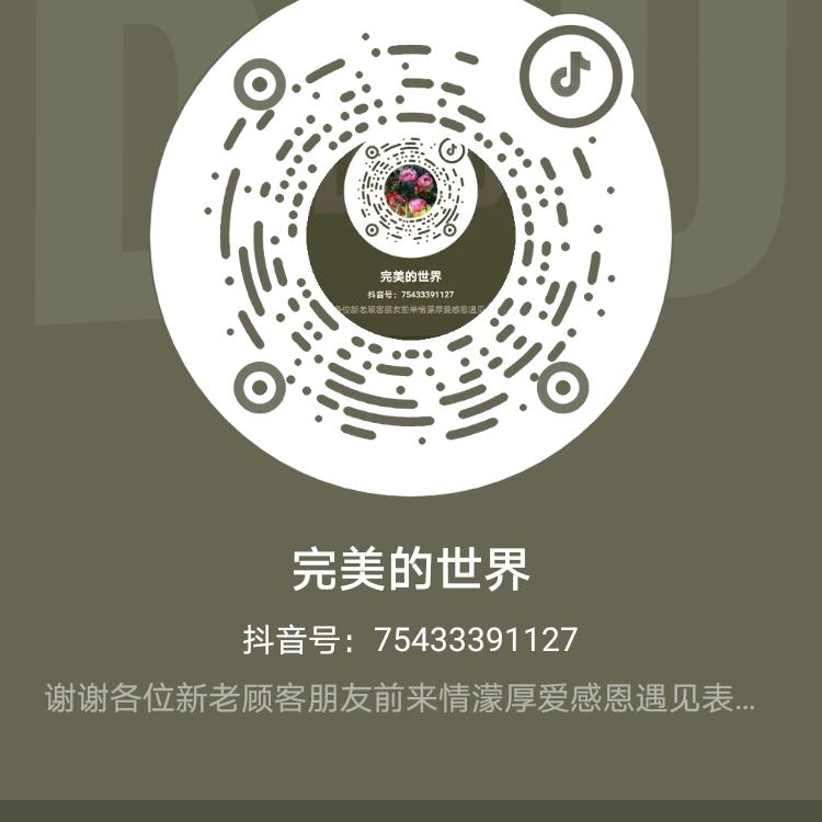 完美的世界
