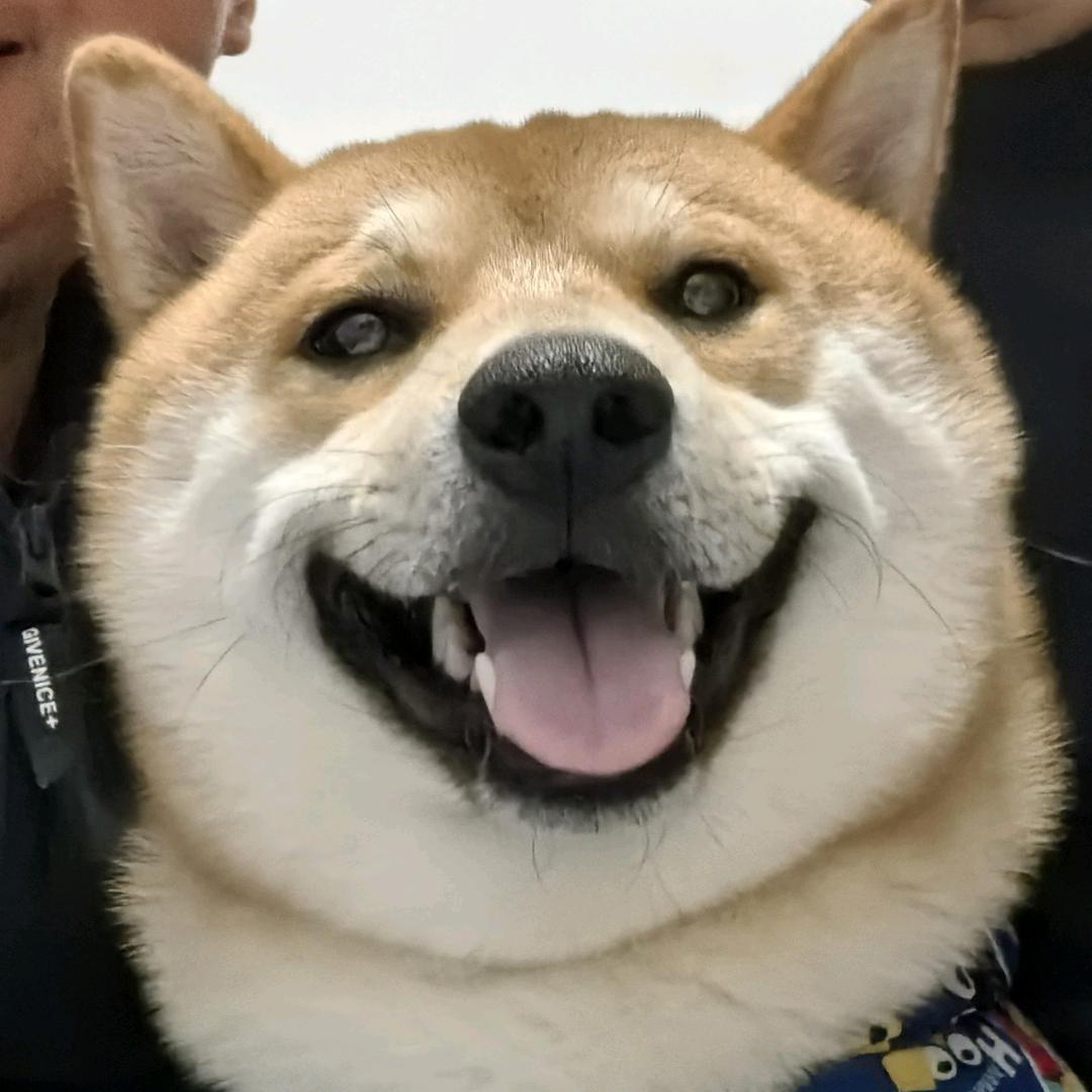 大脸盘Lucky
