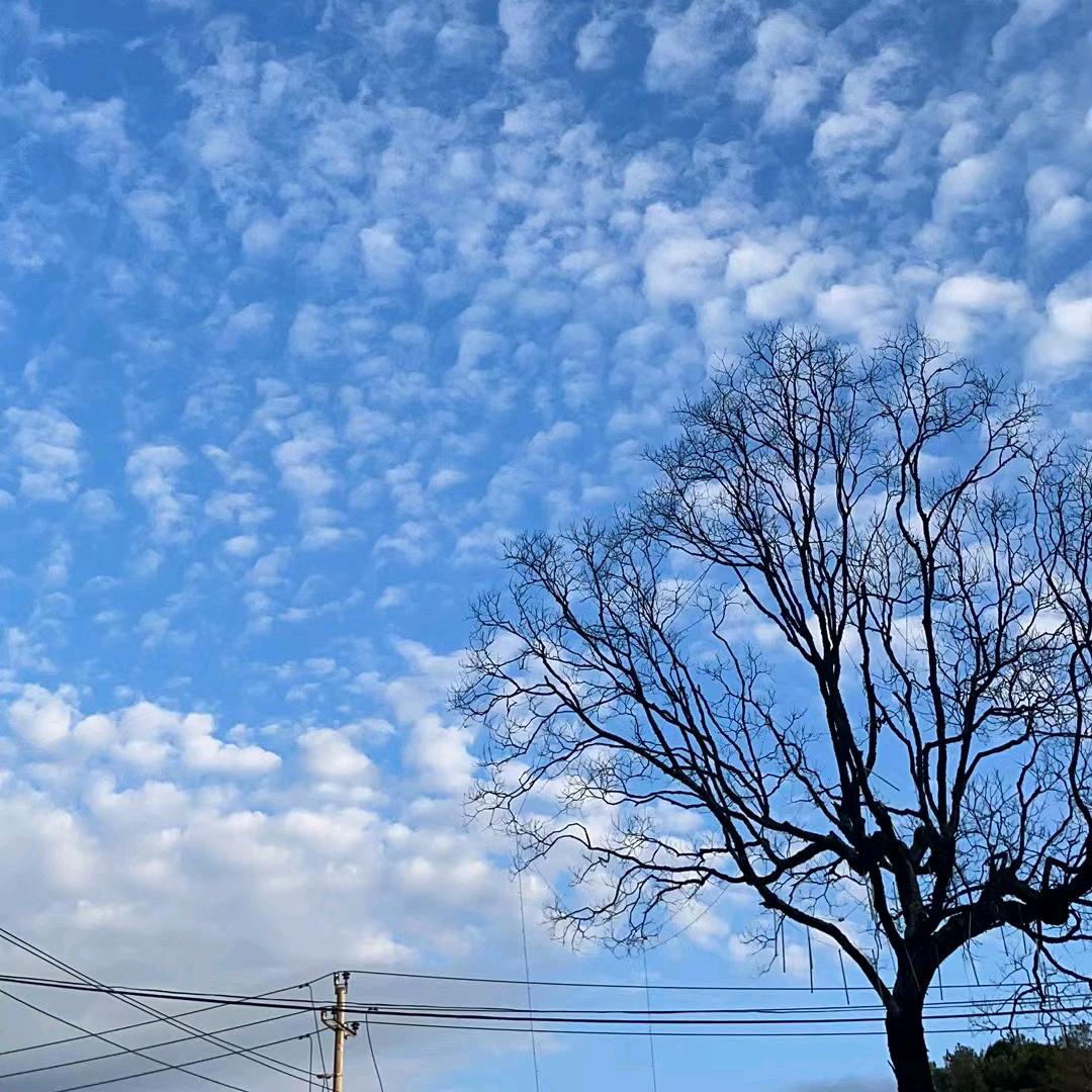 长安与故里