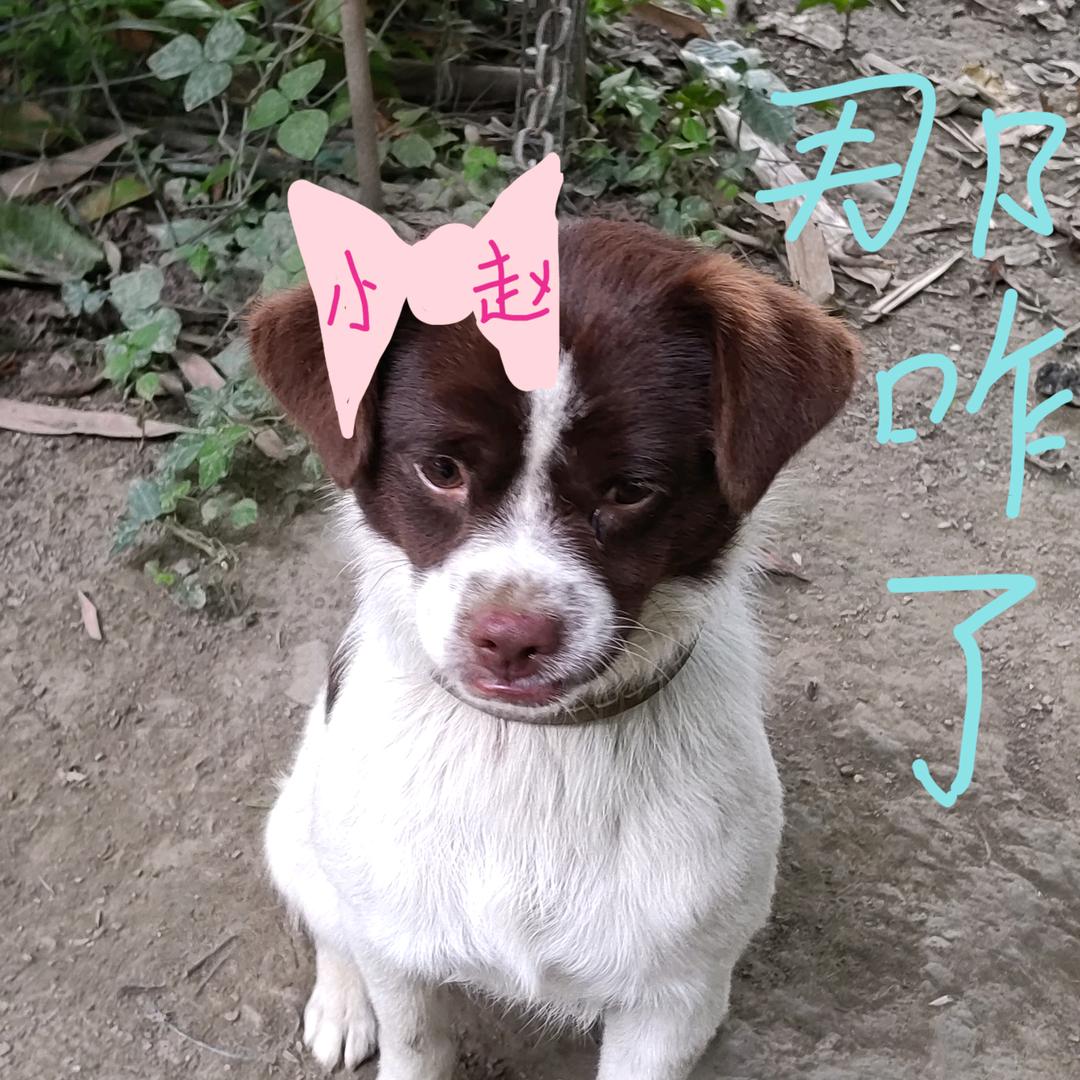 点点🐶吃不饱😜
