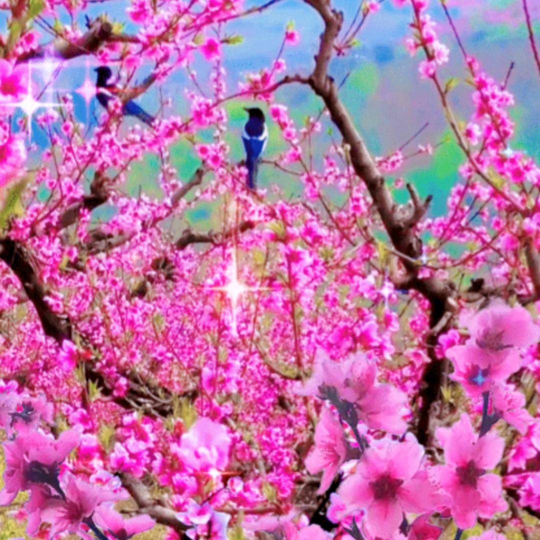 🌻赵财进宝🌻《关赞必回》