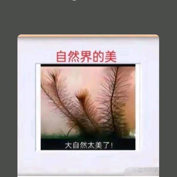 用户1392552927576