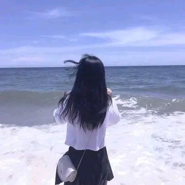 北极贝贝
