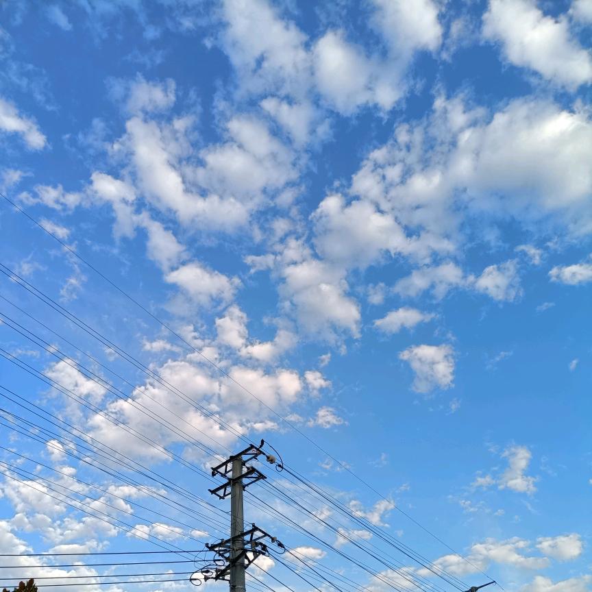 宇时