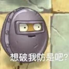 想破我防是吧