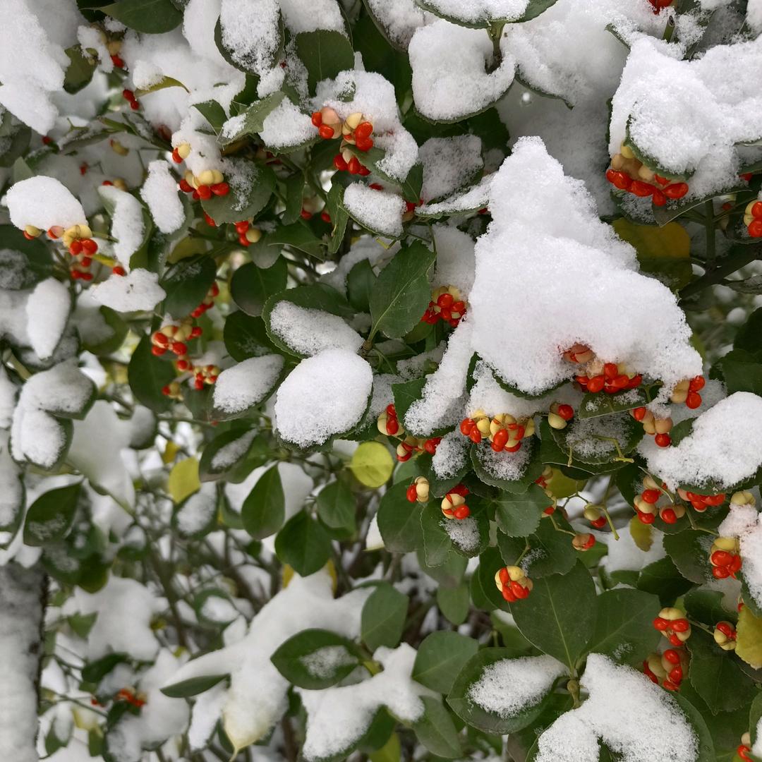 姚姚--程姥姥热灸馆