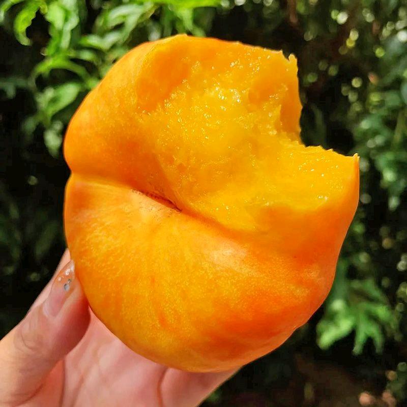 绿鲜源生鲜
