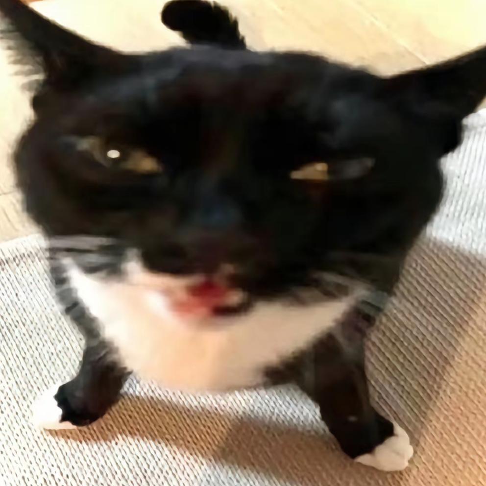 孜然