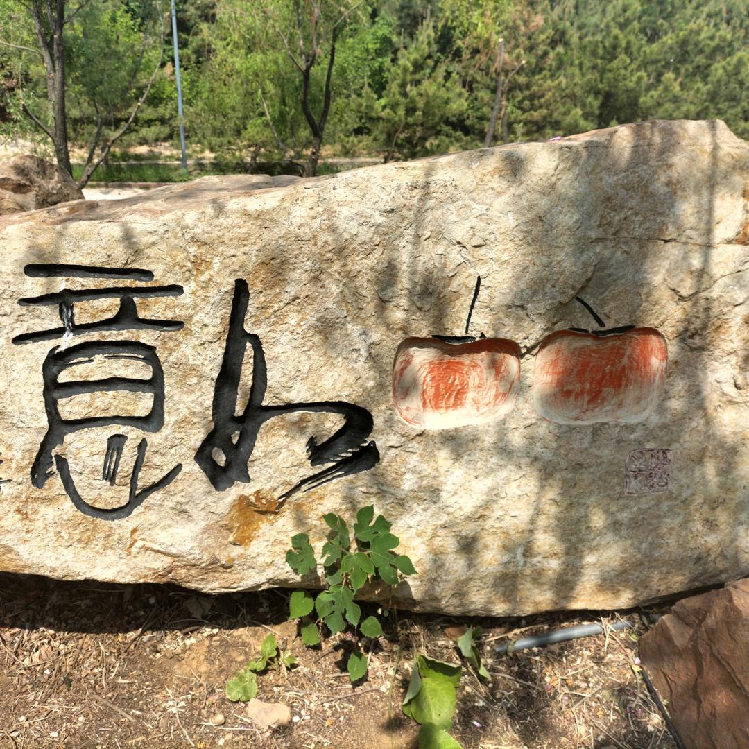 举在云颠☁️