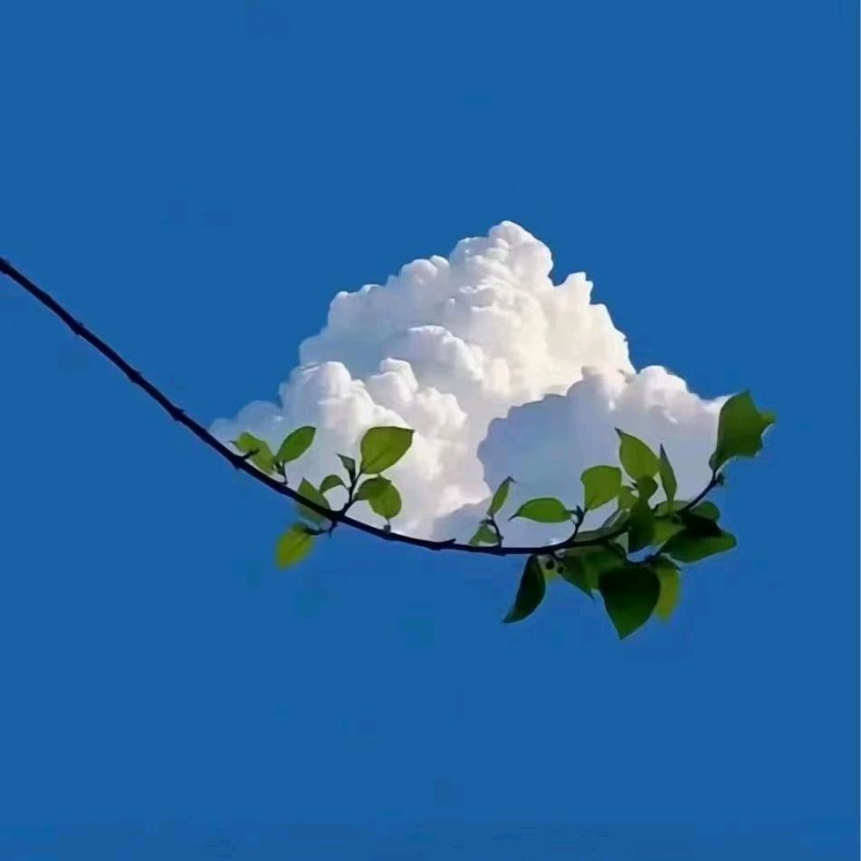 佟哥聊矩阵获客