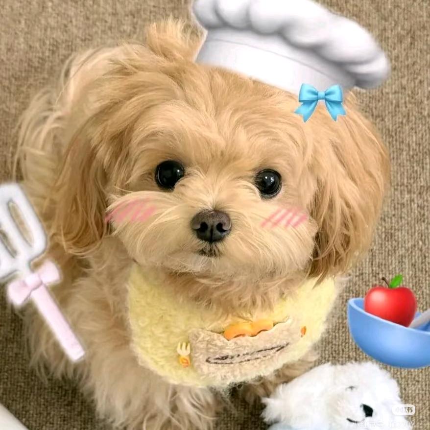 ᥫᩣ吃饱睡不饱>_<