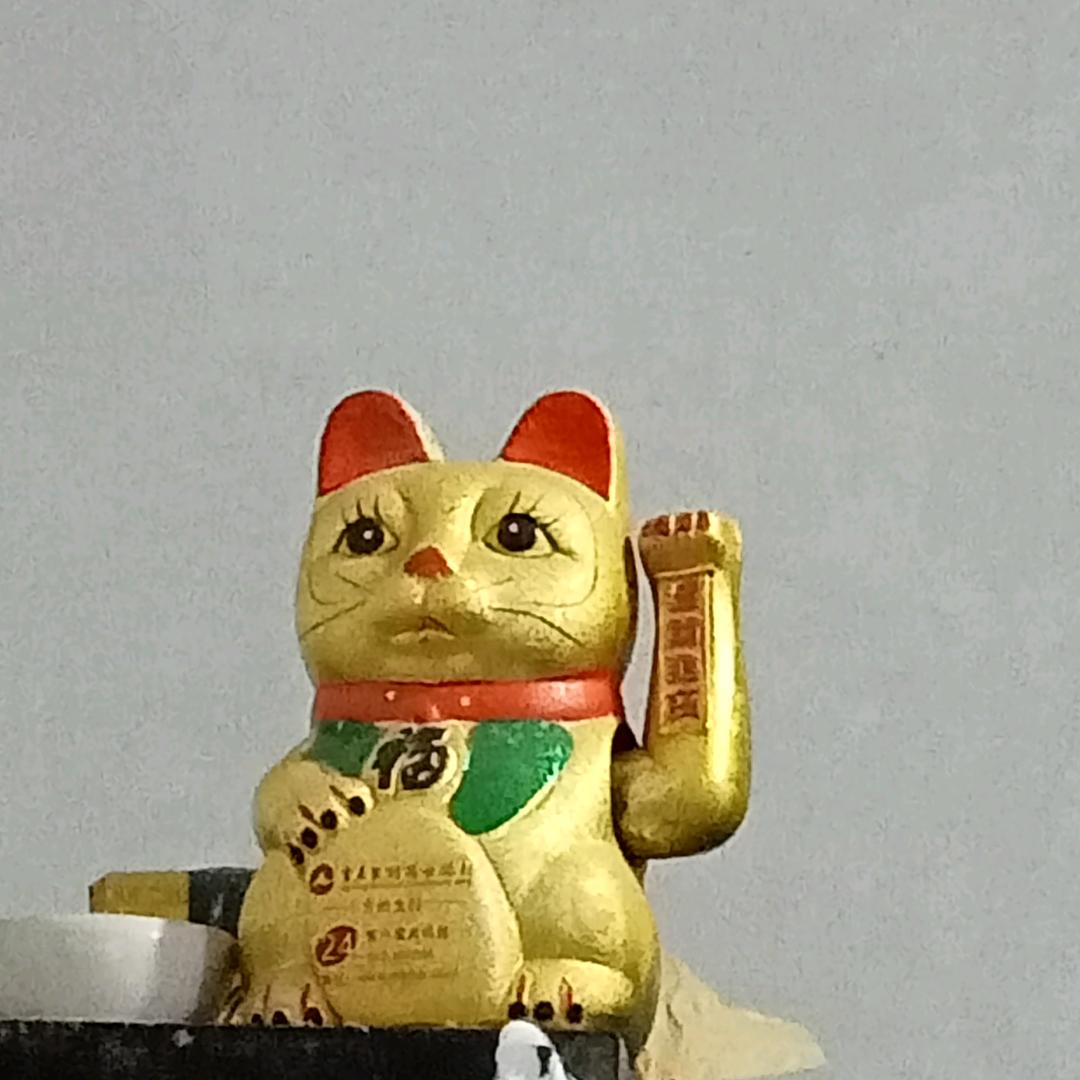 我沙沙