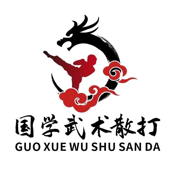 孝感国学武术散打