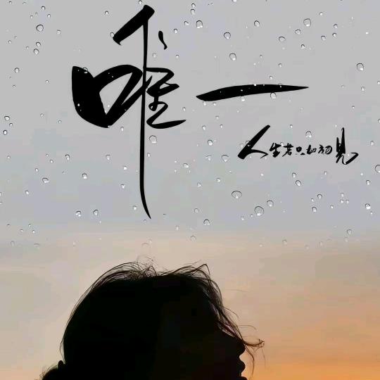 木易杨
