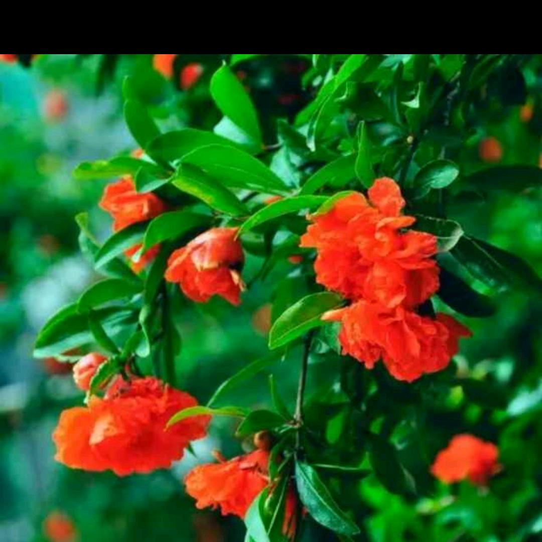 有家才幸福