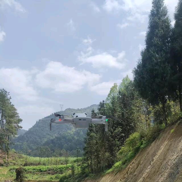 饶有兴趣