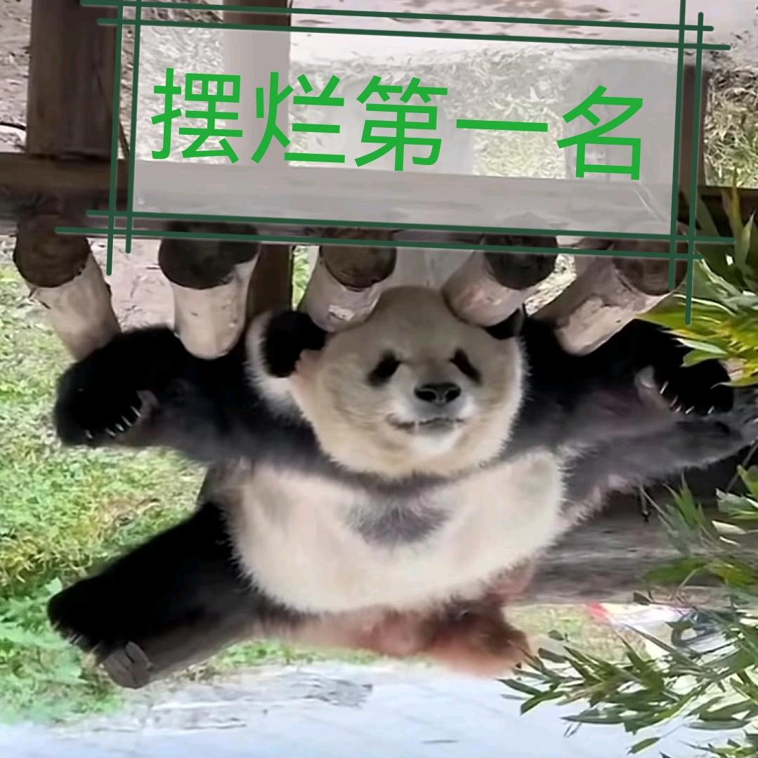 有只猫叫葡萄