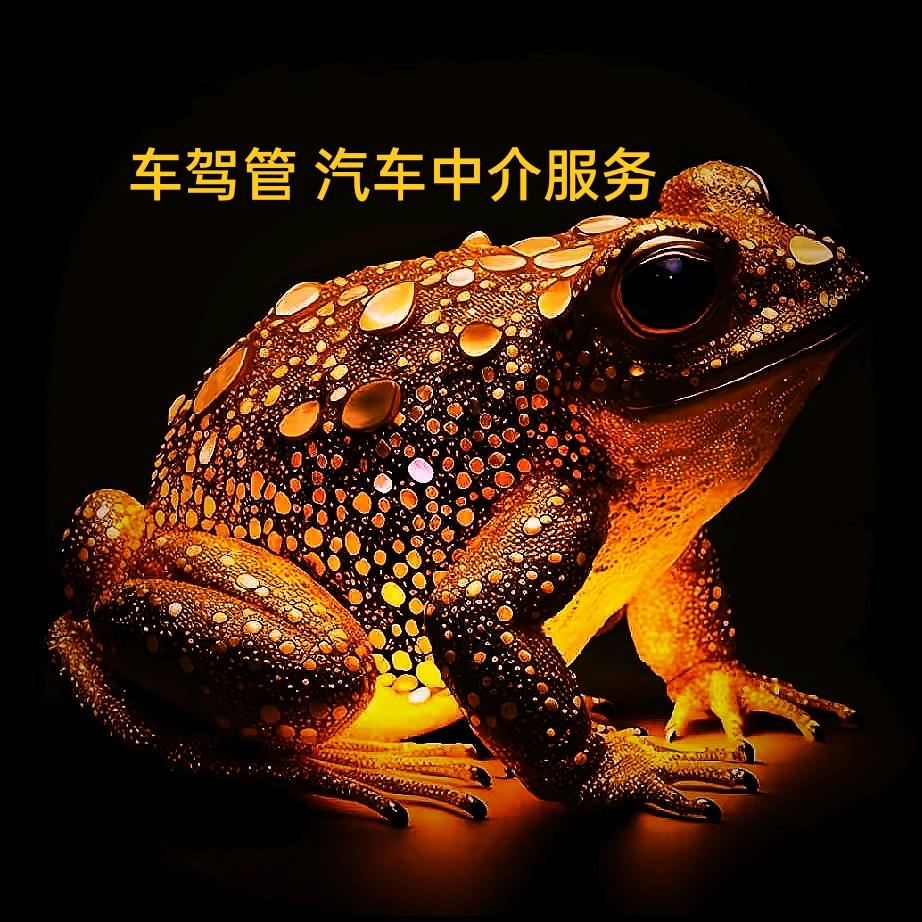 车驾管服务蒙C☞