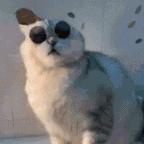 没有狠活的年代