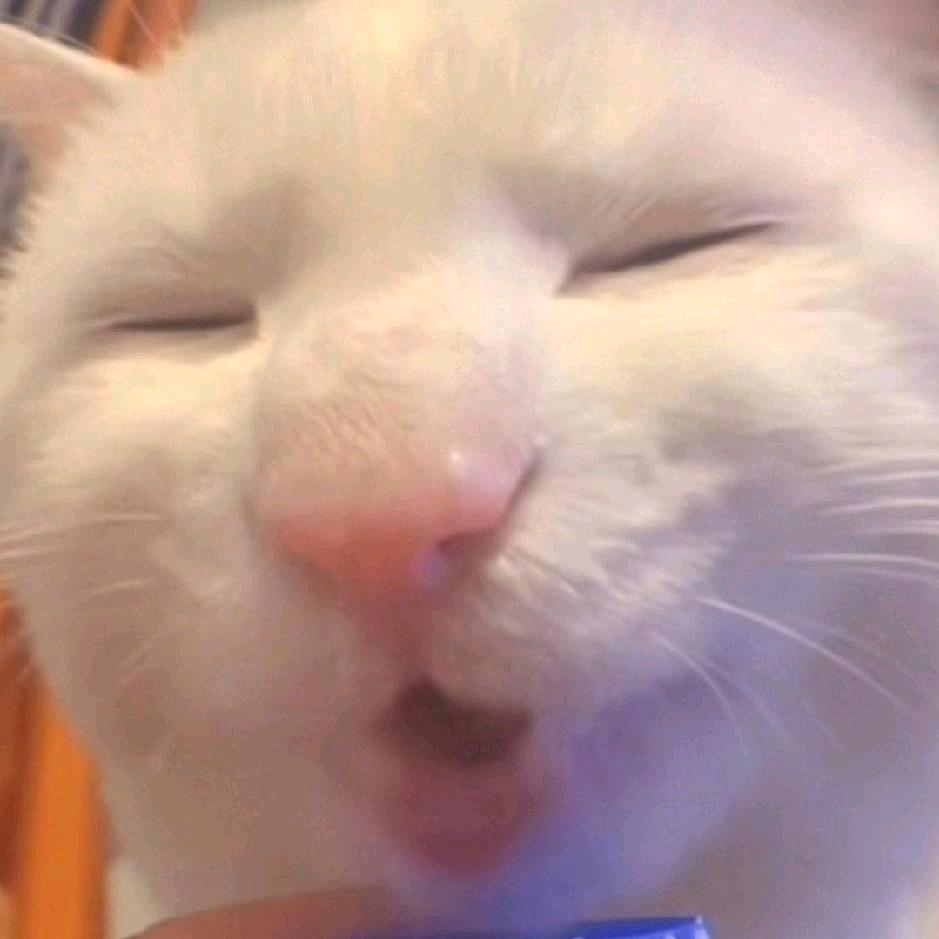 熹嬉