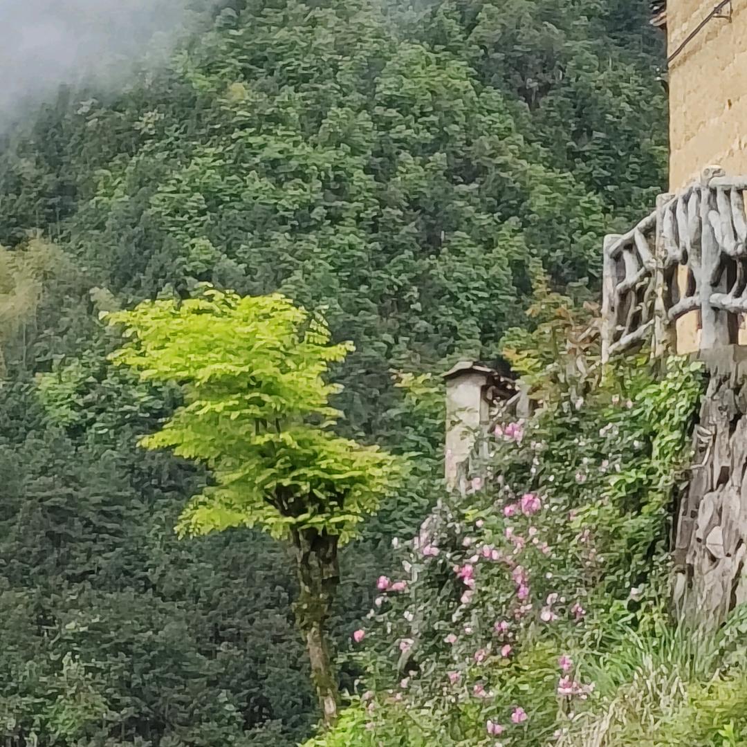 陈家铺香袅茶室
