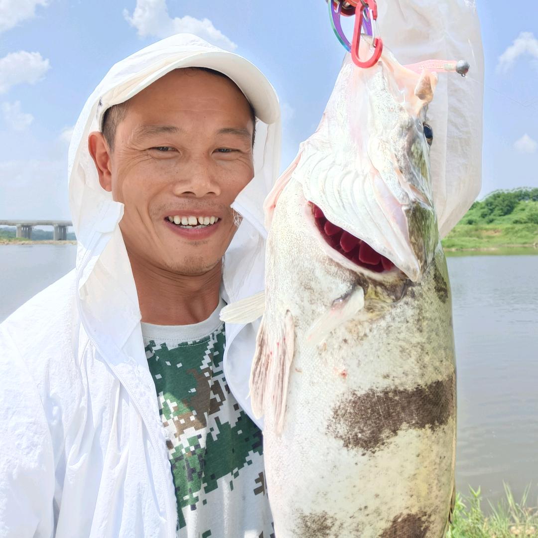 宝哥爱钓鱼
