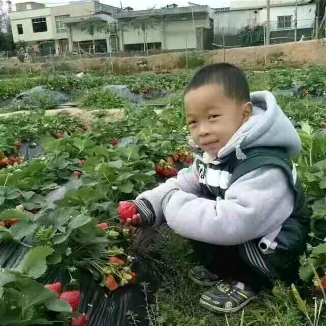 助力刘家柱早日回家