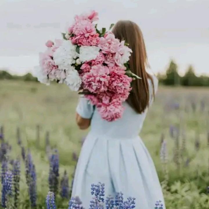 所以然好物分享