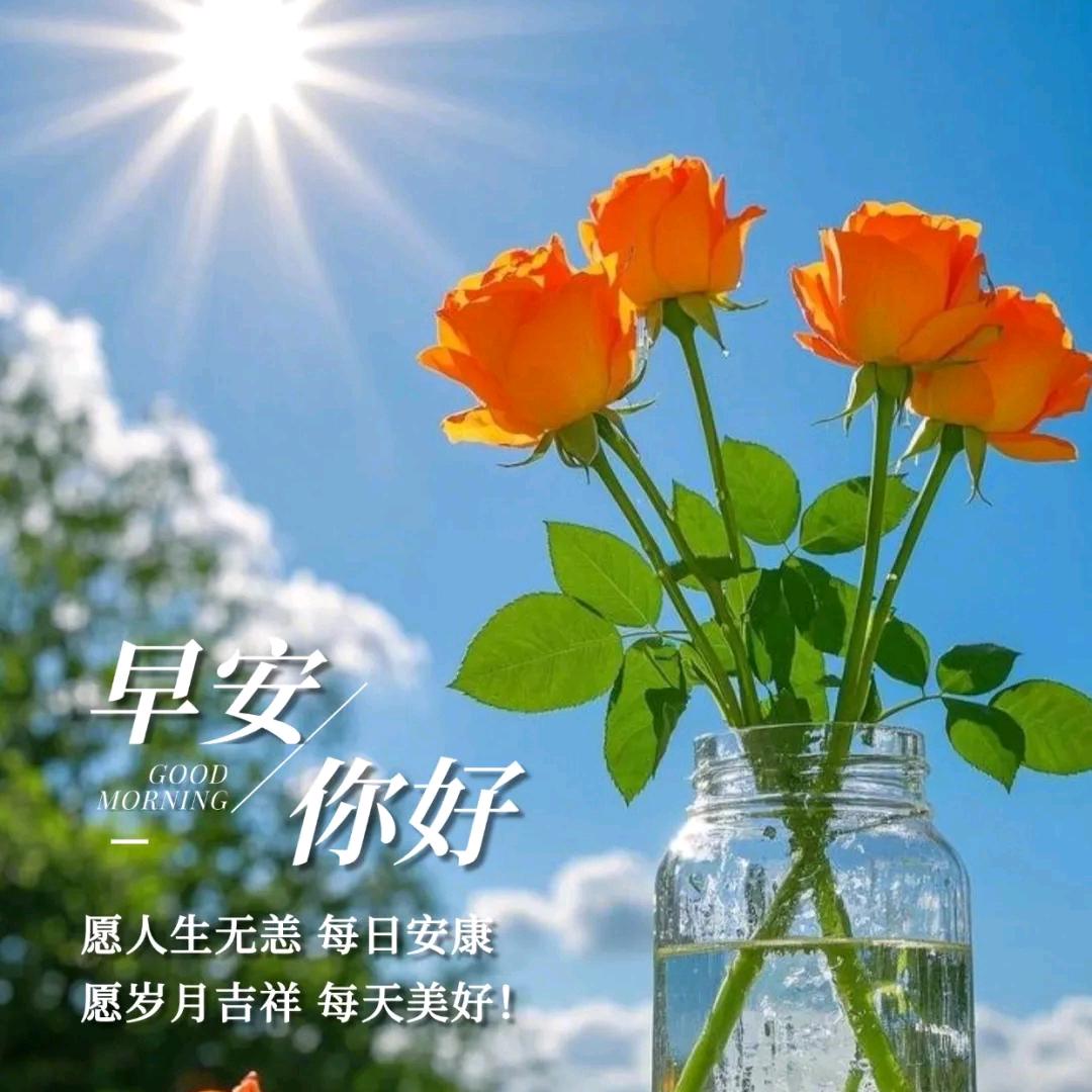 东莞市本量电子科技有限公司