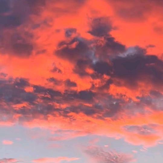 铁～骨……曾曾