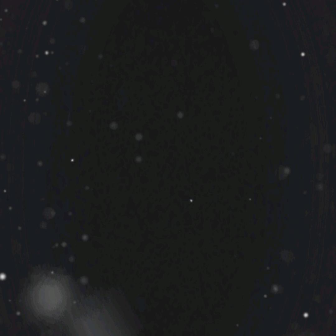 Ic栗子熊（三角洲跑币）