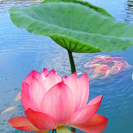 最熟悉的陌生人