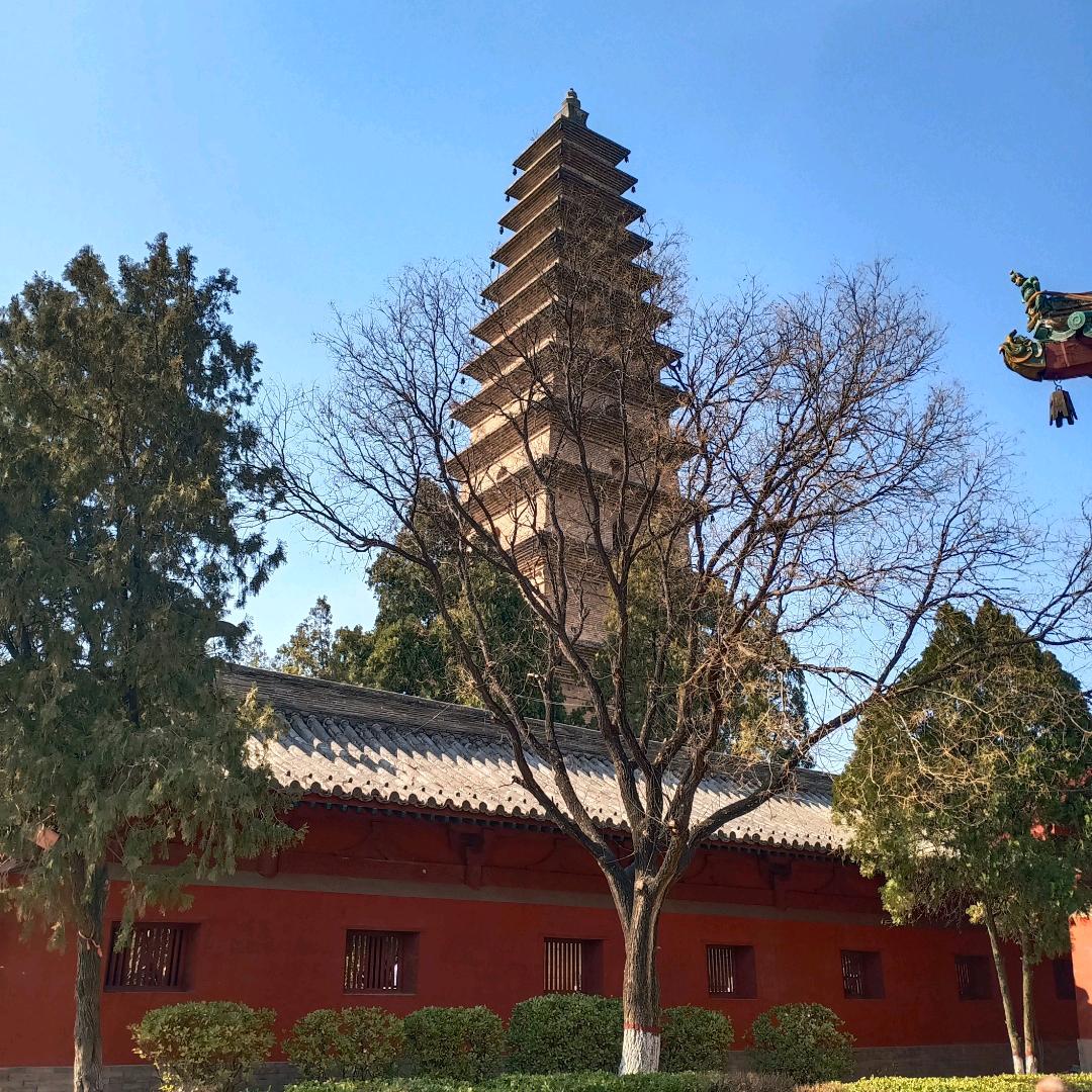 任我逍遥九崇天