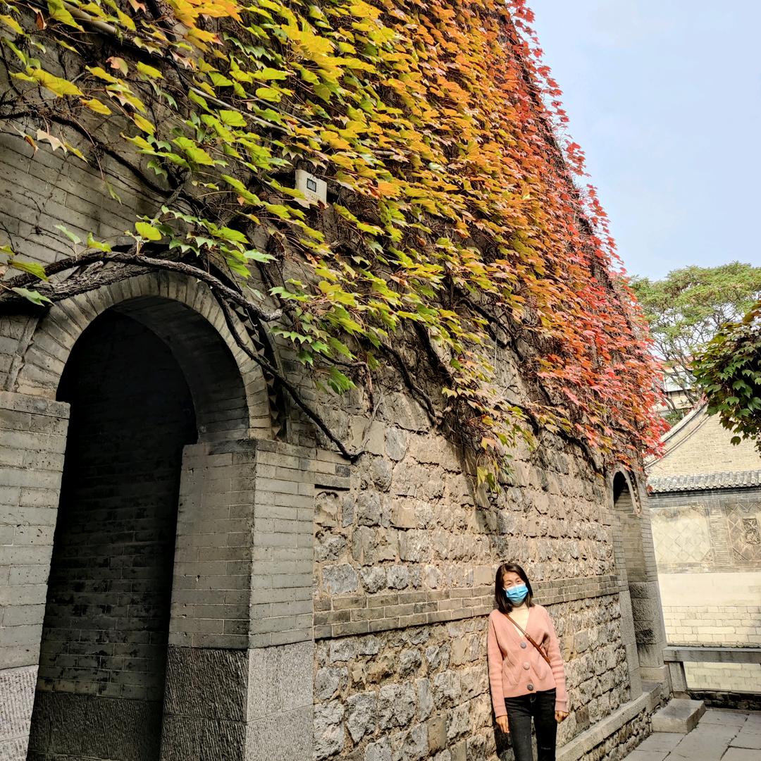 李兜兜儿
