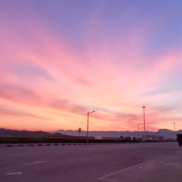 秋刀鱼不上烧烤架