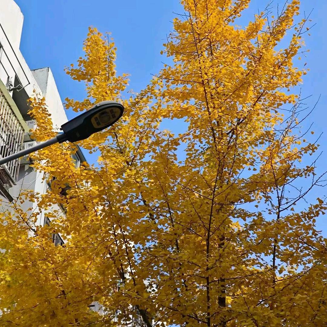 人缓则安，语缓则贵。