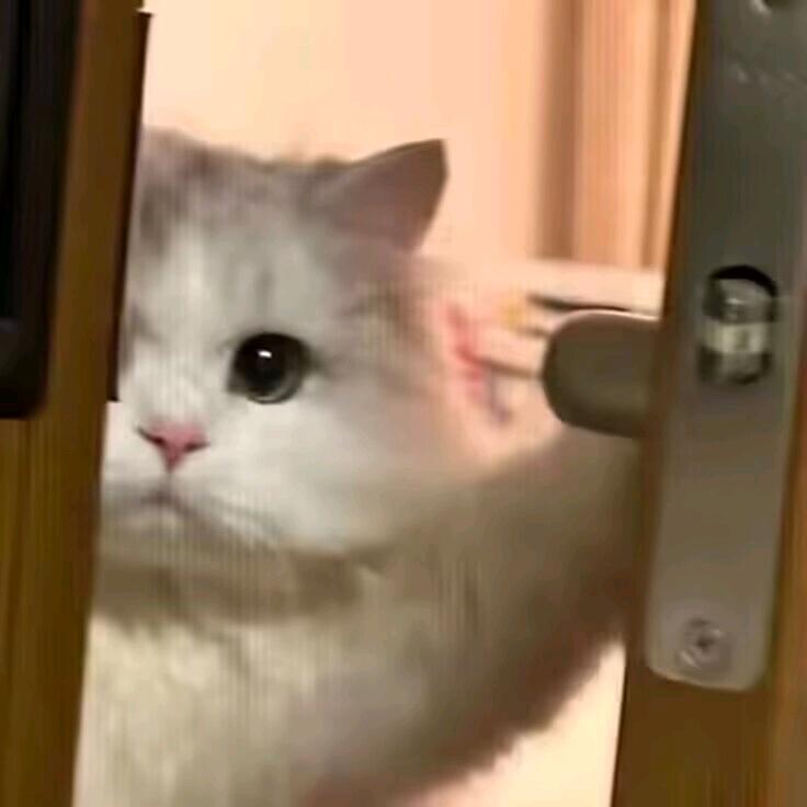 妈妈说名字太长会有人跟着念.